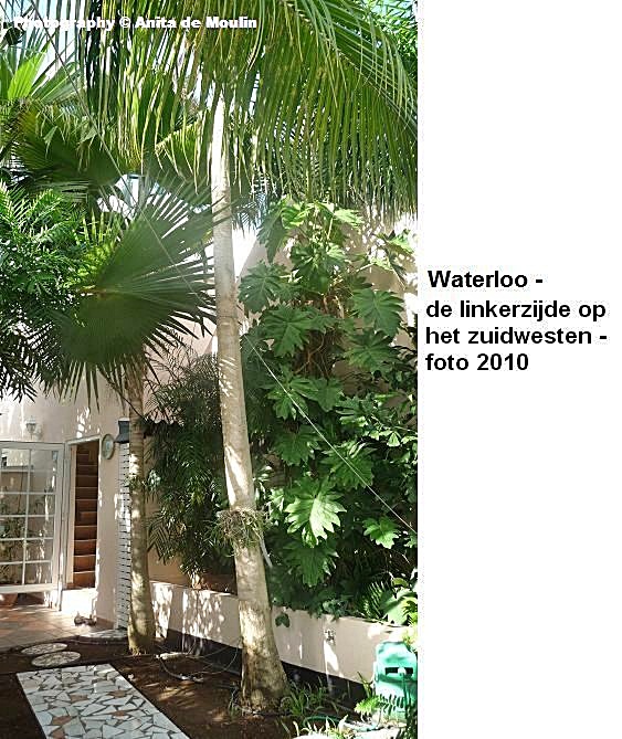 08. Waterloo linkerzijde op het zuidwesten 2010